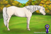 Horse Color:Silver Amber Cream Champagne Pearl 