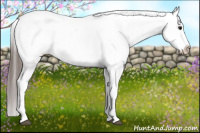 Horse Color:Brown Appaloosa 