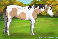 Horse Color:Bay Dun Splash Tobiano 