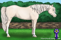 Horse Color:Gold Cream Champagne Pearl 