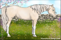 Horse Color:Gold Cream Champagne Pearl