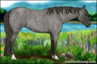 Horse Color:Smoky Blue Roan 