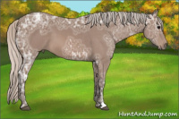 Horse Color:Silver Black Ice 