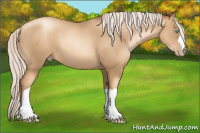 Horse Color:Gray Silver Amber Cream Champagne Pearl 
