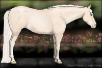 Horse Color:Gold Cream Champagne Roan Pearl