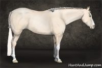 Horse Color:Silver Amber Cream Champagne Pearl 