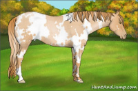 Horse Color:White Spotted Red Roan Pearl 