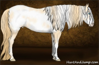 Horse Color:White Spotted Buckskin Pearl Frame 