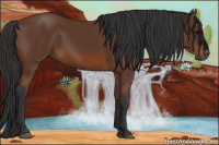 Horse Color:Bay Rabicano 
