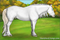 Horse Color:Buckskin Pearl Dun Near Fewspot 