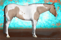 Horse Color:Bay Roan Dun Tobiano