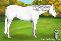 Horse Color:Cremello Dun Splash