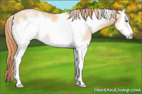 Horse Color:White Spotted Smoky Black Pearl Frame 