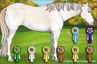 Horse Color:White Spotted Perlino Dun 