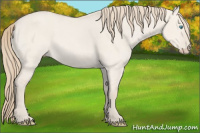 Horse Color:Perlino Dun Sabino