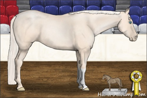 Horse Color: Gold Cream Champagne Pearl 