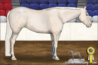 Horse Color:Gold Cream Champagne Pearl 