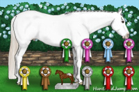 Horse Color:Chestnut Splash Snowcap 