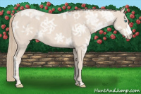 Horse Color:Perlino Ice 