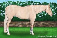 Horse Color:Silver Classic Champagne Ice Roan