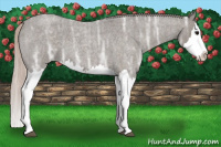 Horse Color:Silver Blue Ice Roan Splash 