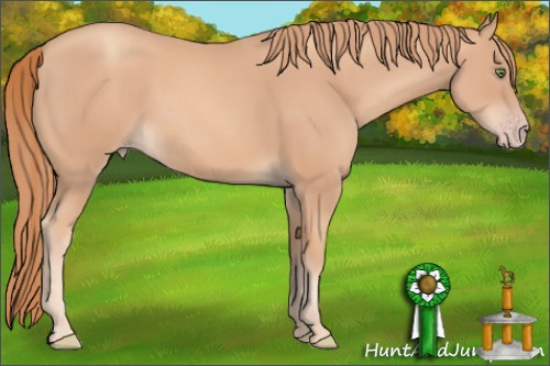 Horse Color: Gold Champagne 