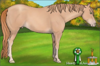 Horse Color:Gold Champagne 