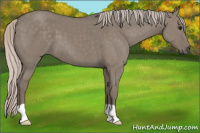 Horse Color:Silver Grullo 