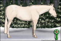 Horse Color:Gold Cream Champagne Pearl 