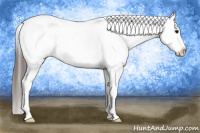 Horse Color:Brown Roan Blanket Rabicano 