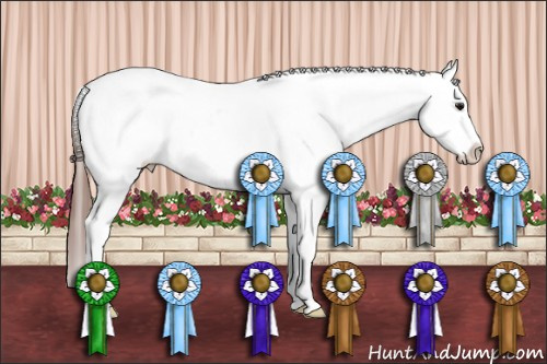 Horse Color: Bay Sabino Blanket 