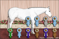 Horse Color:Bay Sabino Appaloosa