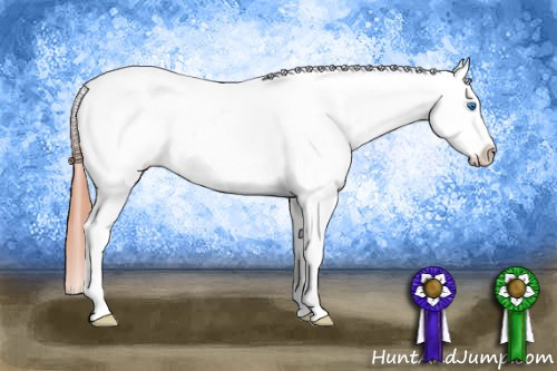 Horse Color: Amber Champagne Splash Snowcap 