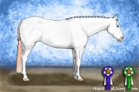 Horse Color:Amber Champagne Splash Snowcap 