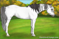 Horse Color:Smoky Black Sabino Frame 