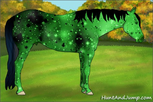 Horse Color: ERROR: UNKNOWN ANOMALY