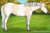 Horse Color:White Spotted Silver Buckskin Dun 