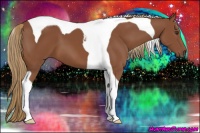Horse Color:Chestnut Tobiano 