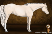 Horse Color:Gold Cream Champagne Pearl 