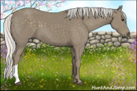 Horse Color:Silver Buckskin 