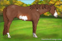 Horse Color:Liver Chestnut Frame 