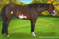 Horse Color:Brown Frame 