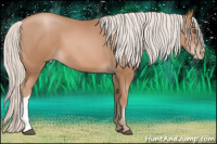 Horse Color:Silver Brown Pearl
