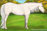 Horse Color:Silver Amber Cream Champagne Pearl