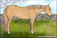 Horse Color:Palomino Dun Sabino 