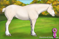 Horse Color:Gold Cream Champagne Pearl