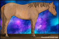 Horse Color:Bay Roan Rabicano  Brindle