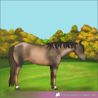 Horse Color:Chestnut Pearl 