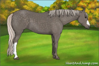 Horse Color:Silver Black 
