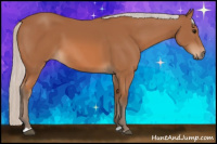 Horse Color:Silver Bay 